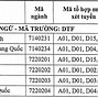 Điểm Chuẩn Đại Học Y Tây Nguyên Năm 2020