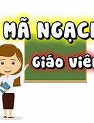 Mã Ngạch Của Giáo Viên Tiểu Học Hạng 3 Mới