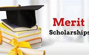 Merit Based Scholarship Là Gì