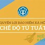 Nên Mua Bảo Hiểm Xã Hội Tự Nguyện Ở Đâu