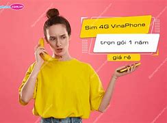 Sim Mạng Vinaphone 1 Năm Bao Nhiêu Tiền