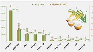 Việt Nam Xuất Khẩu Gạo Đi Những Nước Nào