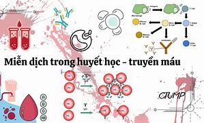 Xét Miễn Học Phần Ctump