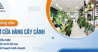 Ý Tưởng Kinh Doanh Cây Cảnh